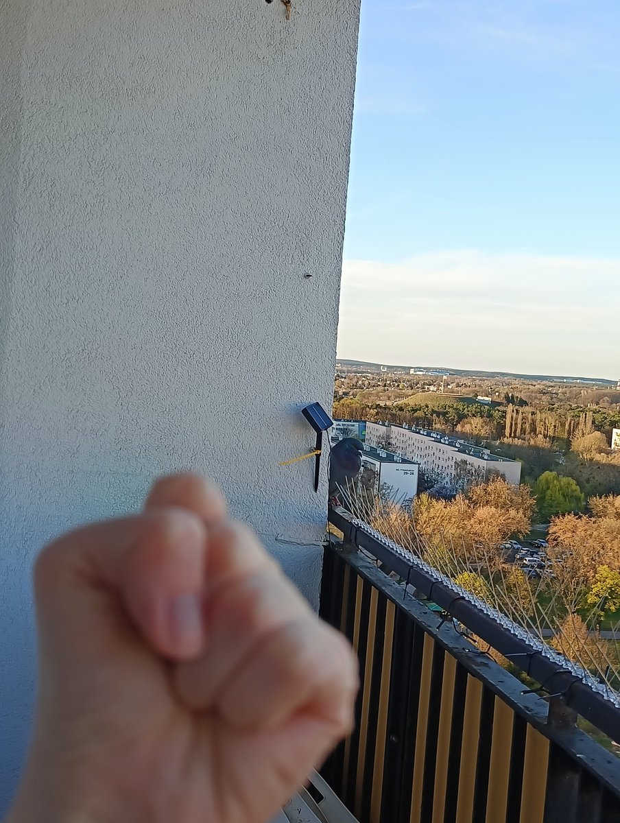 Sofia 🦞 tweet media