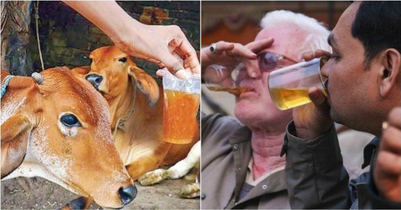 Maryam PTI 🇵🇰 tweet media