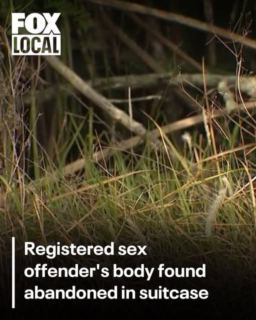 I am Ken tweet media