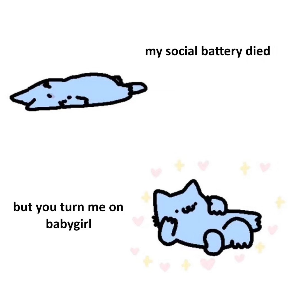 NebulousNub/ᐠ - ˕ -マ tweet media