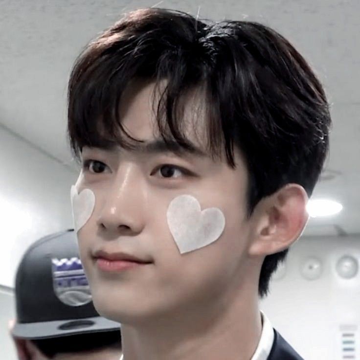 firupuree || aoen 🐬 tweet media