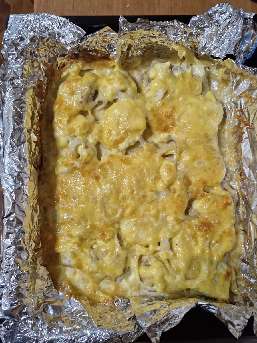 начальник (сподіваюся ненадовго) відділу кіс😼 tweet media