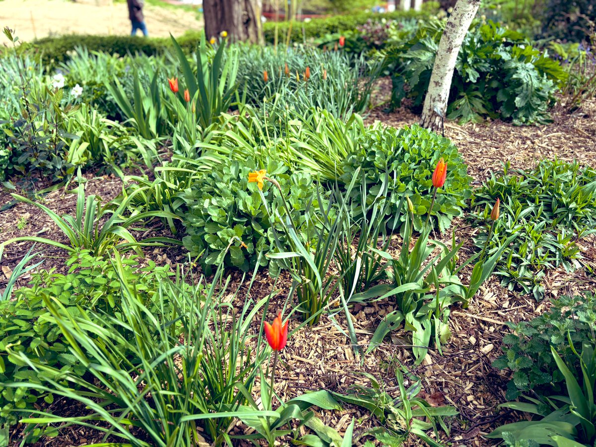 SharonMack82795's tweet image. Spring is doing its thing 🪻💐🌷 #spring #outdoors #makingmemories #EasterWeekend2026