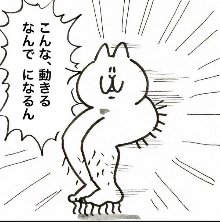 WORLD MALL tweet media