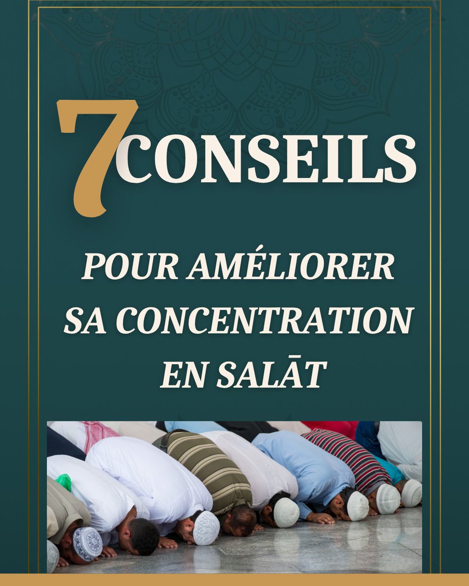 B. Al Maliki tweet media