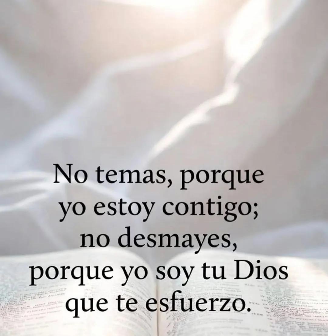 Blasko-Lavayen🇮🇱🇪🇨 tweet media