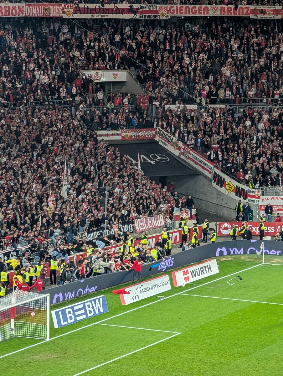 Niklas Noack tweet media