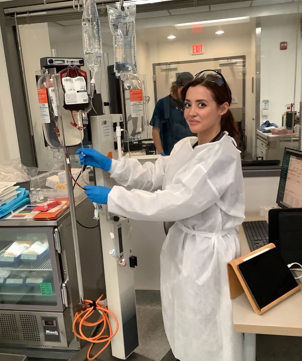 ⟢ ˚. BREY ⊹ ❜ .ᐟ | Noelwalsh CEO tweet media