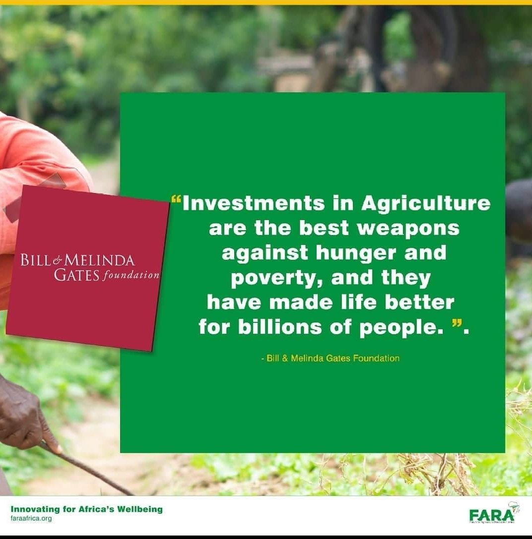 Alexis Nyandwi tweet media