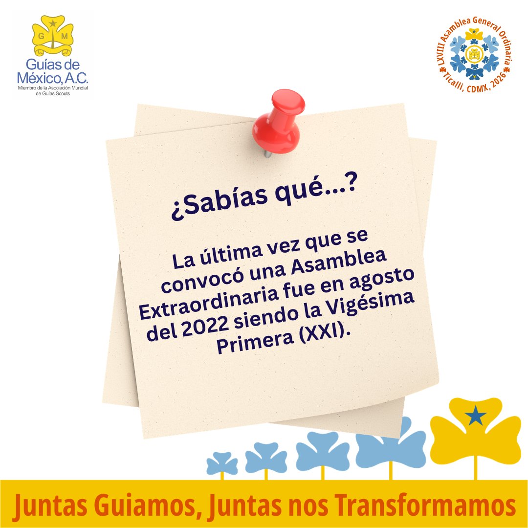 Guías de México A.C. tweet media