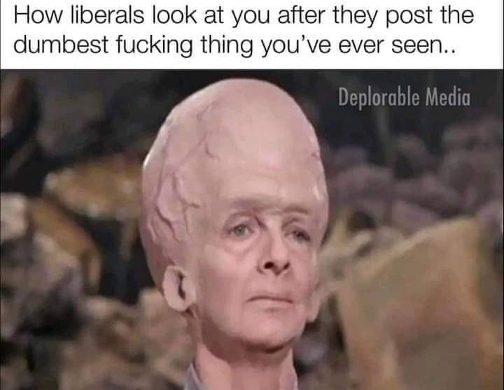 Lisa Bohlman tweet media