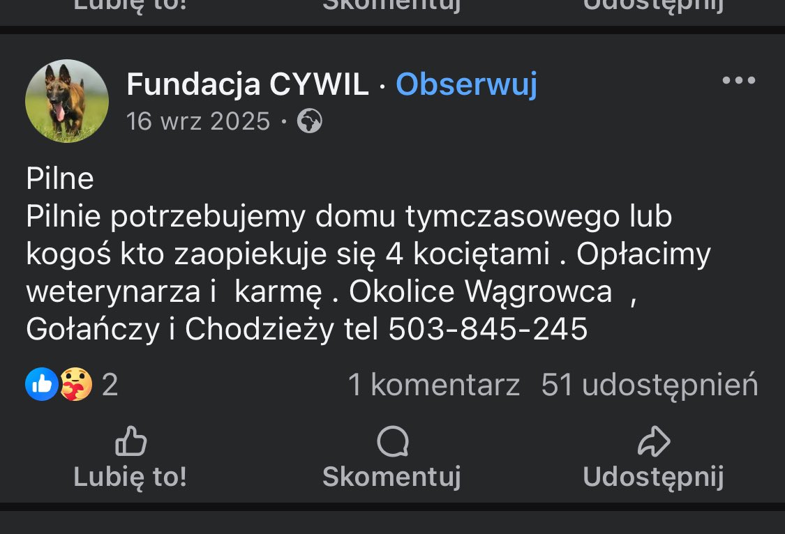 Ka SzaLew 📚 tweet media