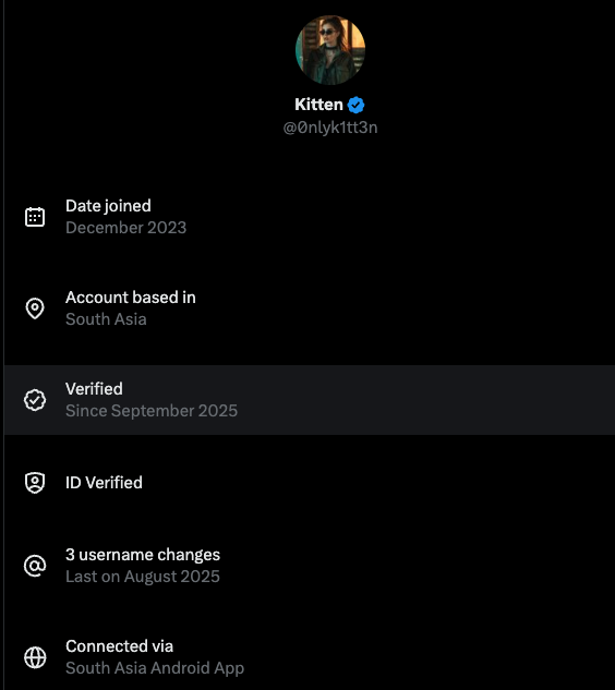 T. Ford 🇺🇸🌴 🐊 tweet media