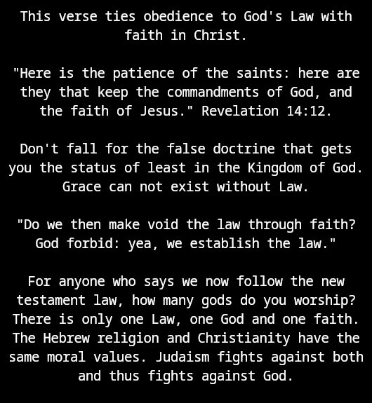 Tim Coucke tweet media