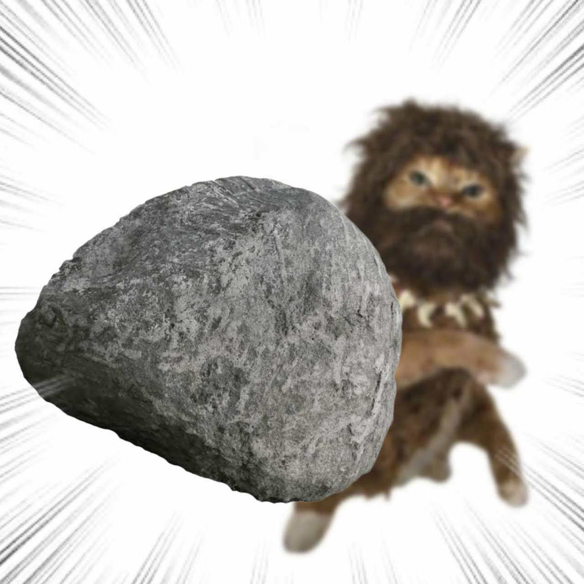 MainEventMike tweet media