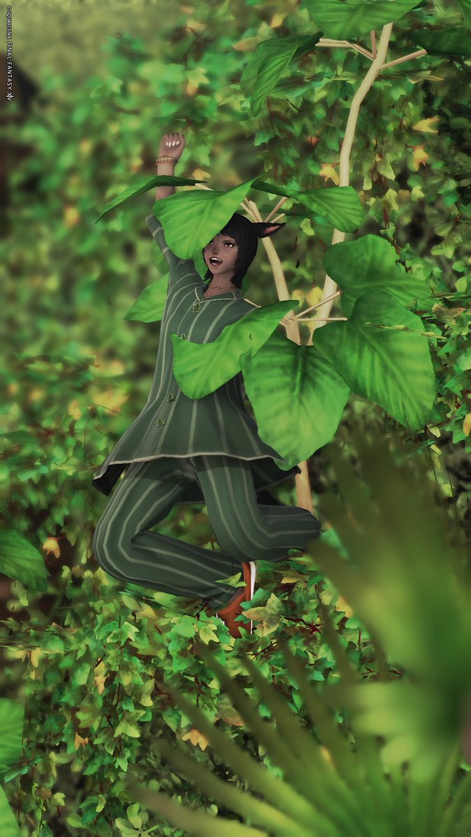 サヤさんぽ tweet media