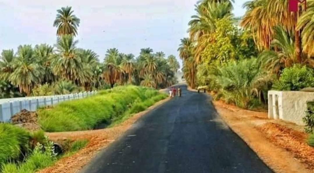 Aldana751's tweet photo. 🟢🟠  نوري .. الولاية الشمالية ..
#السودان https://t.co/ZYuWVDCDyg
