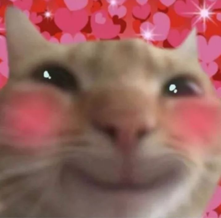 анич tweet media