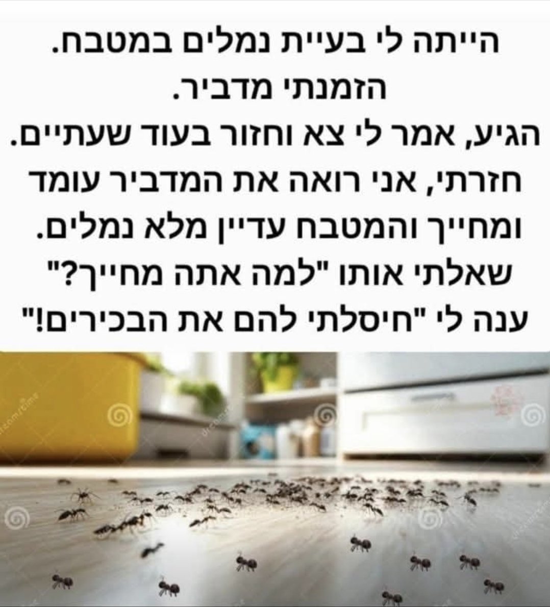 Stand with israel tweet media