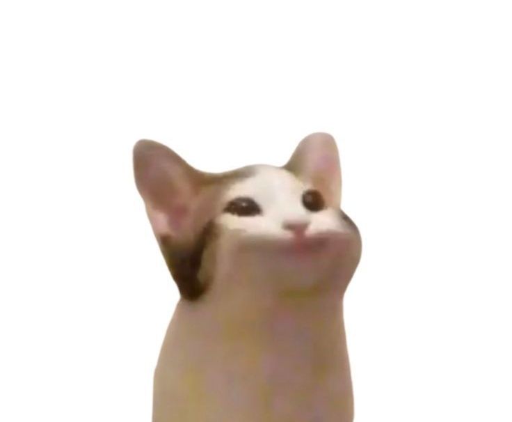 🌷s ꫂৎ tweet media