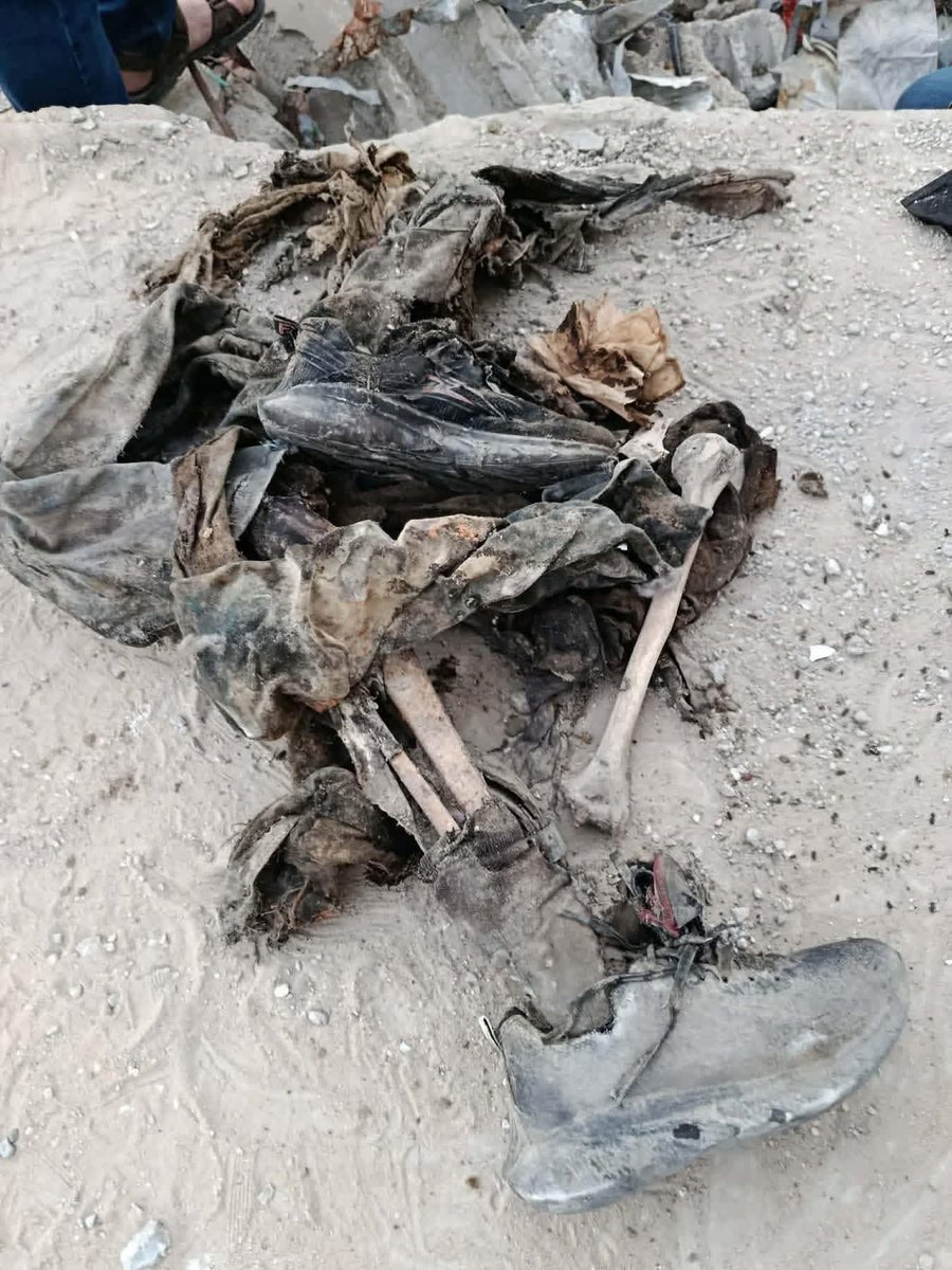 Mahmoud Massri | مَحْمُود 🇵🇸 tweet media