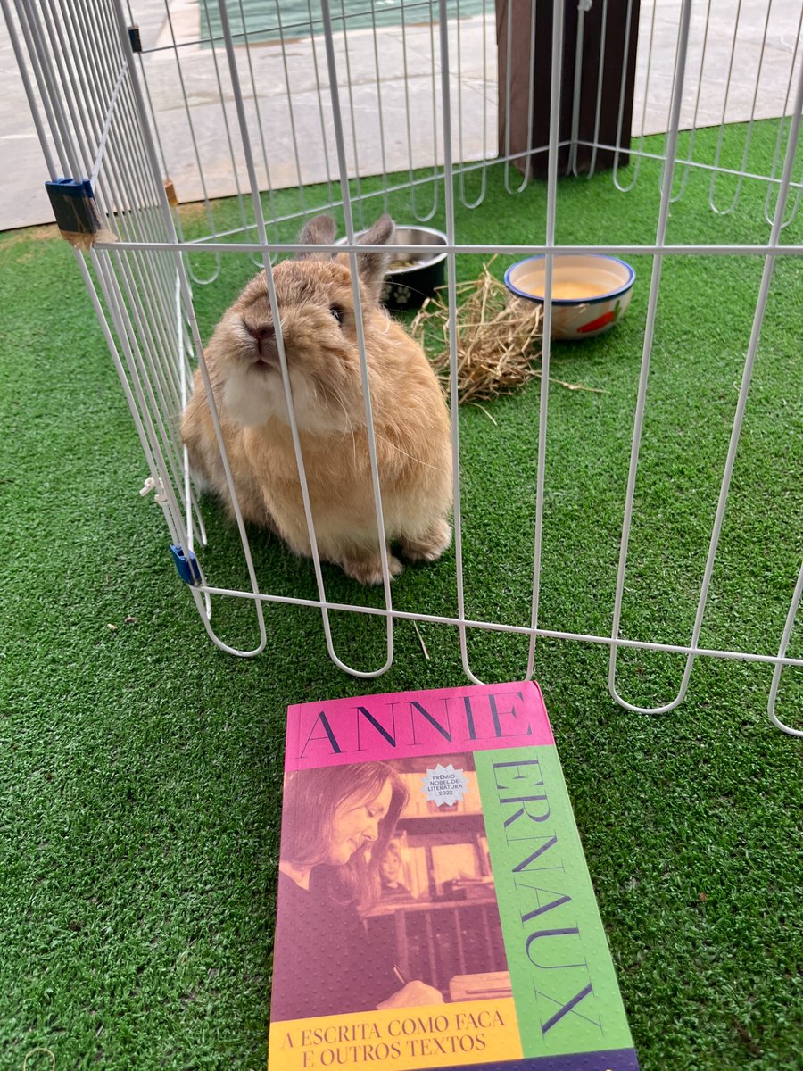 renata ⚢ central tina kennard tweet media