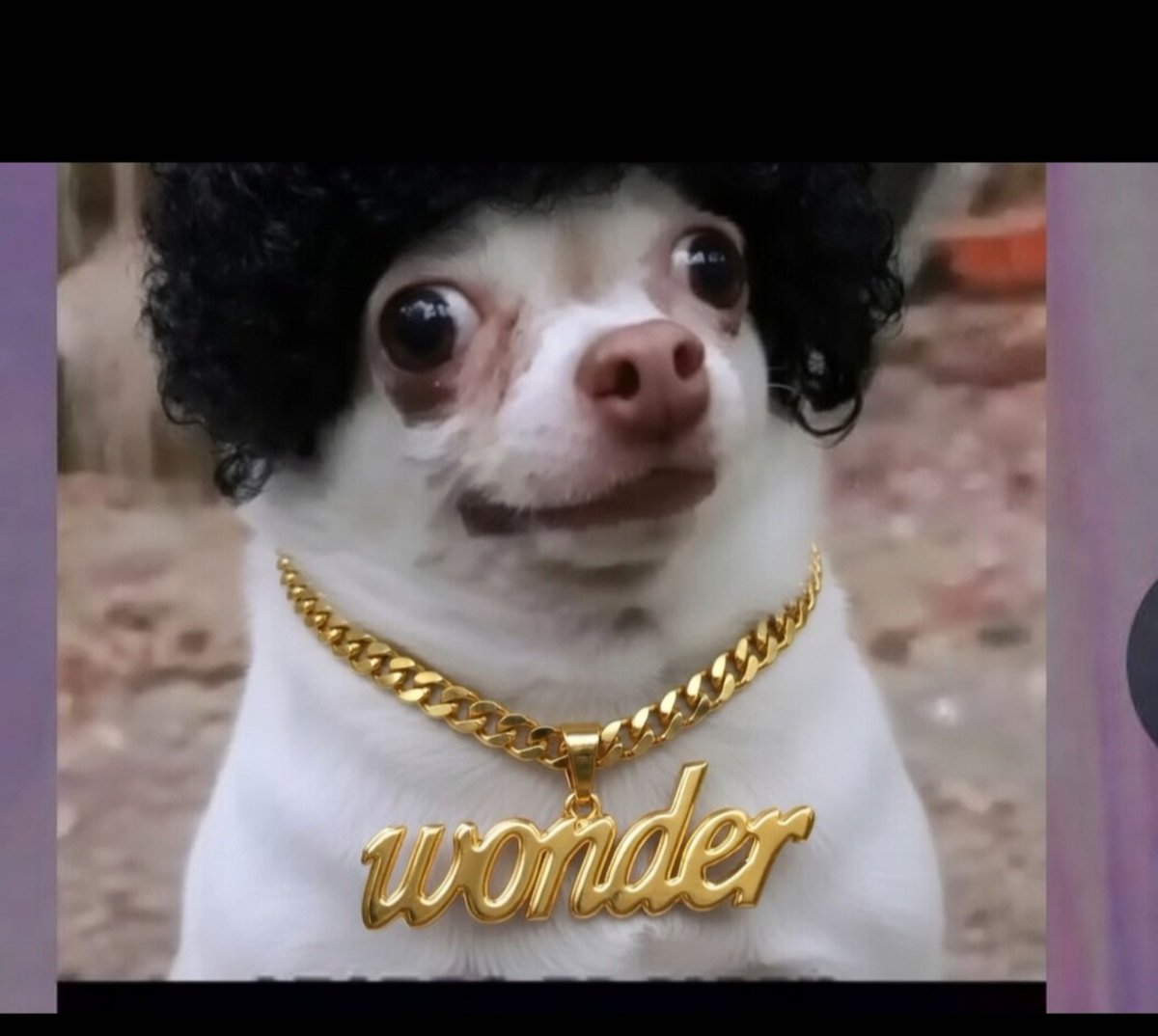 Queen Elena castio florez💖 tweet media