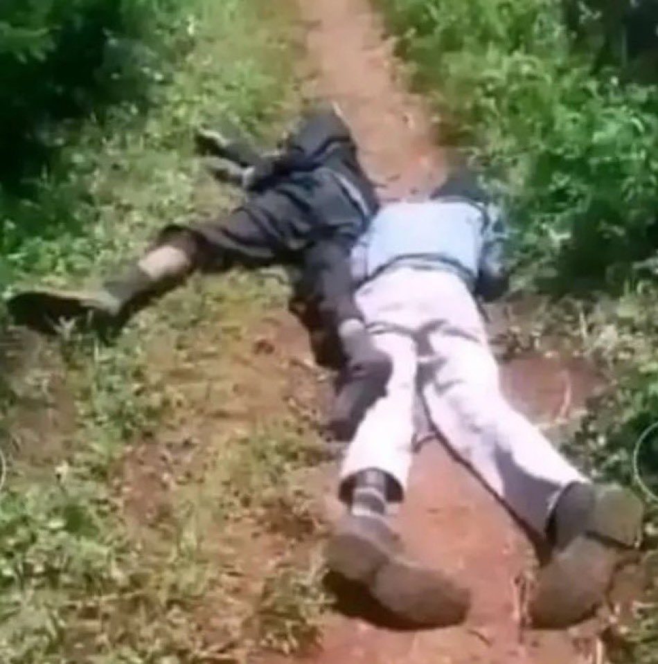 Koketso mashile tweet media