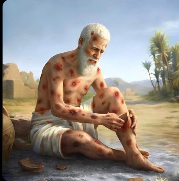 FAN MAGA MUSK* tweet media