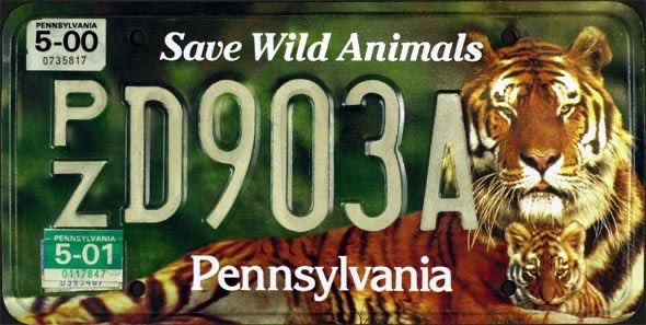 M@ 🦅🐅 tweet media