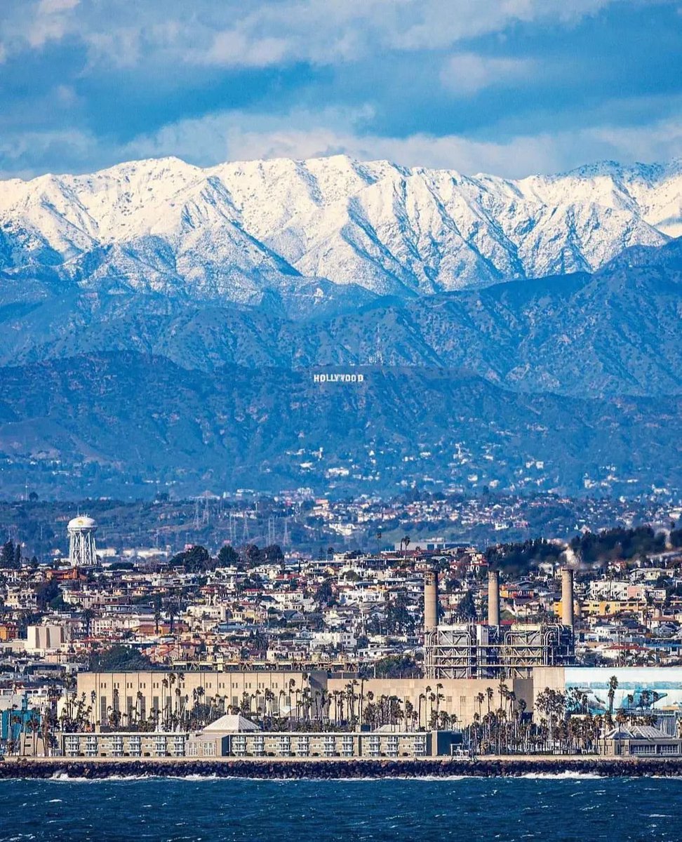 Hakudoshi tweet media