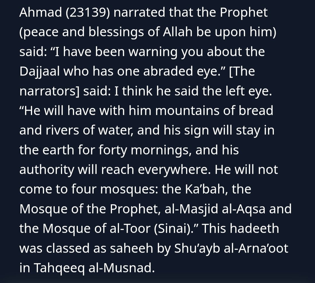 Md Sakib tweet media