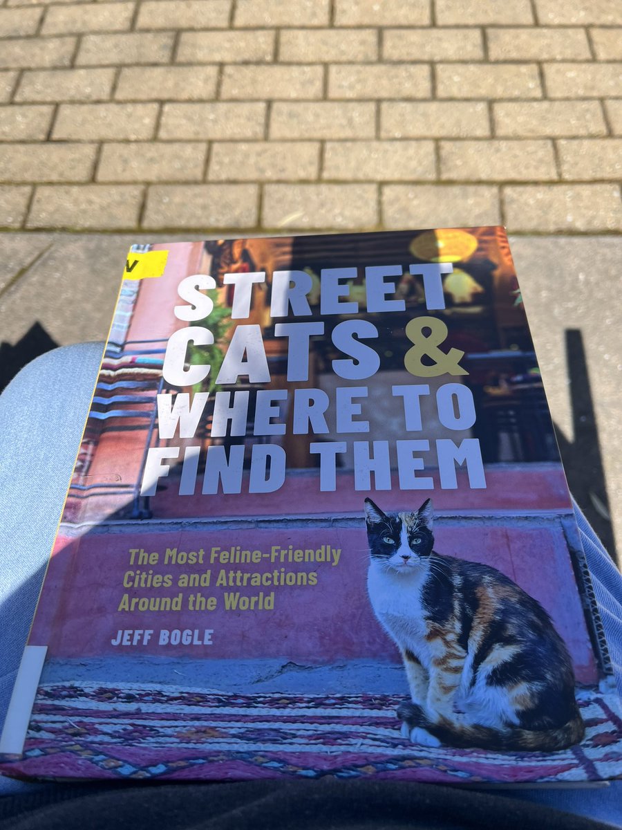 Rebecca👩🏽‍🎓 tweet media