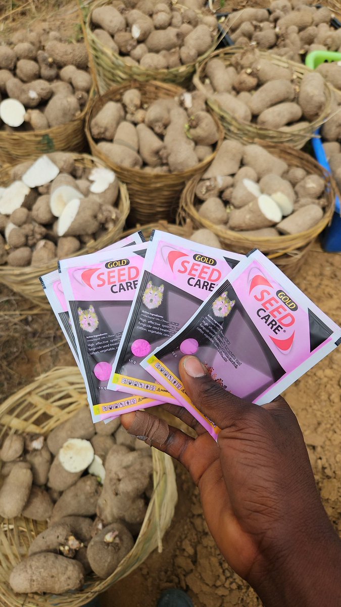 WAYO🤯🚀 tweet media