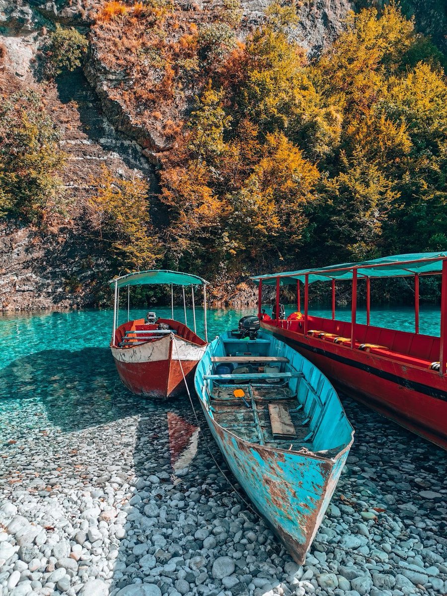 Scouter🇻🇦🇦🇱 tweet media