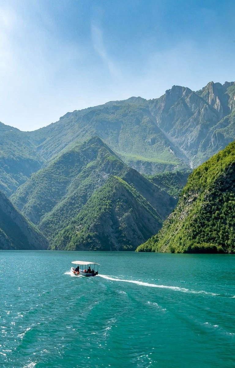 Scouter🇻🇦🇦🇱 tweet media