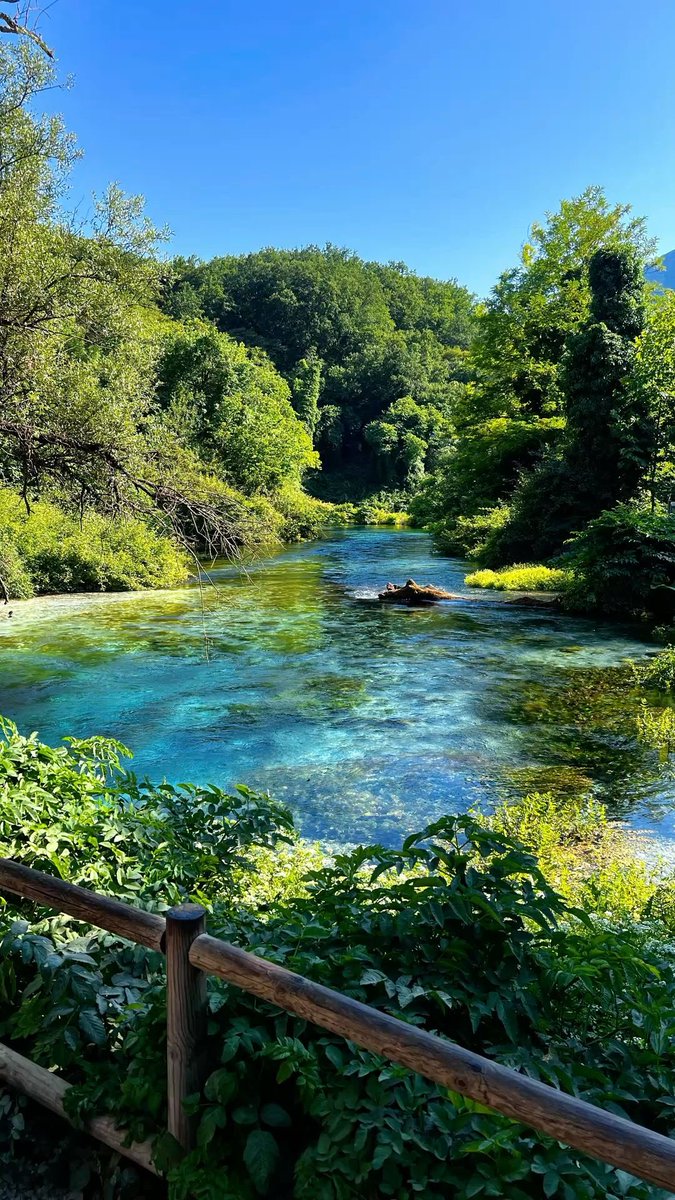 Scouter🇻🇦🇦🇱 tweet media