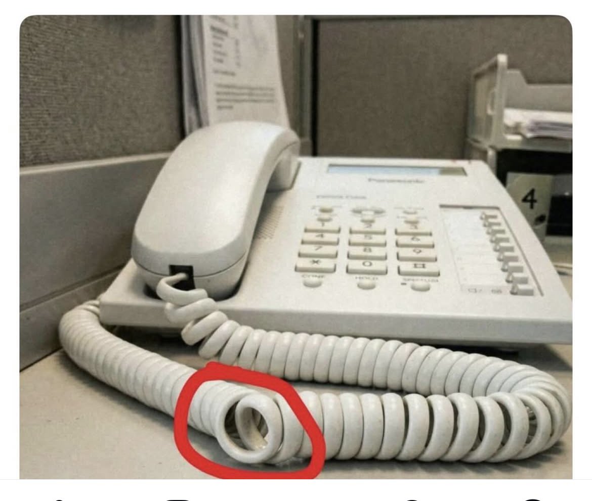 ᎷᏗᏒᏦᎩ ᏕᏂᏗᏒᏦᎩ 🦈 tweet media