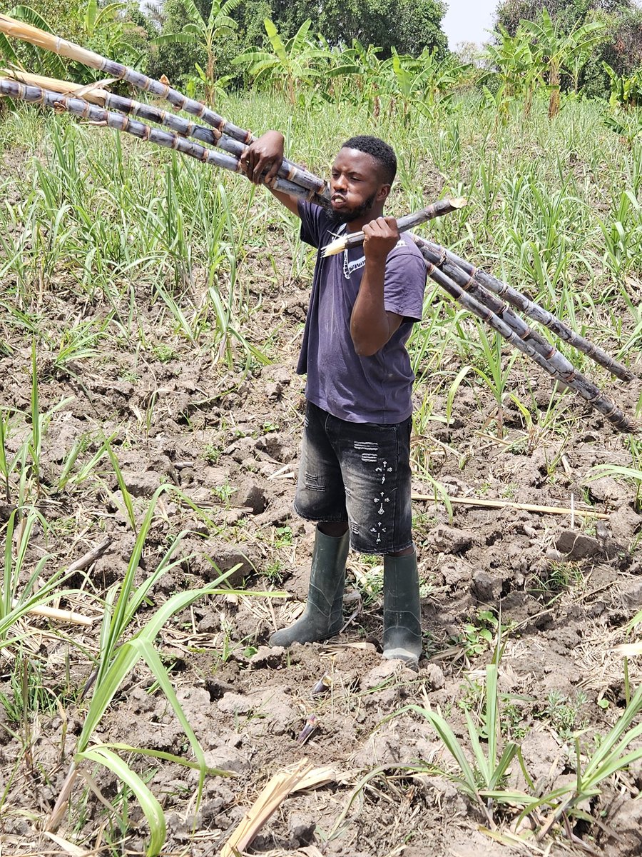 WAYO🤯🚀 tweet media