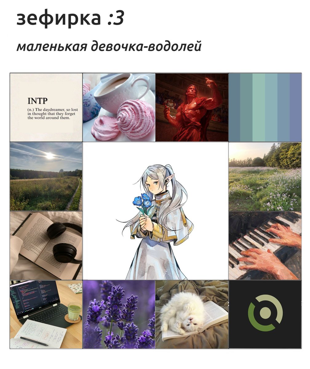 зефирка 🐾 ✨ tweet media
