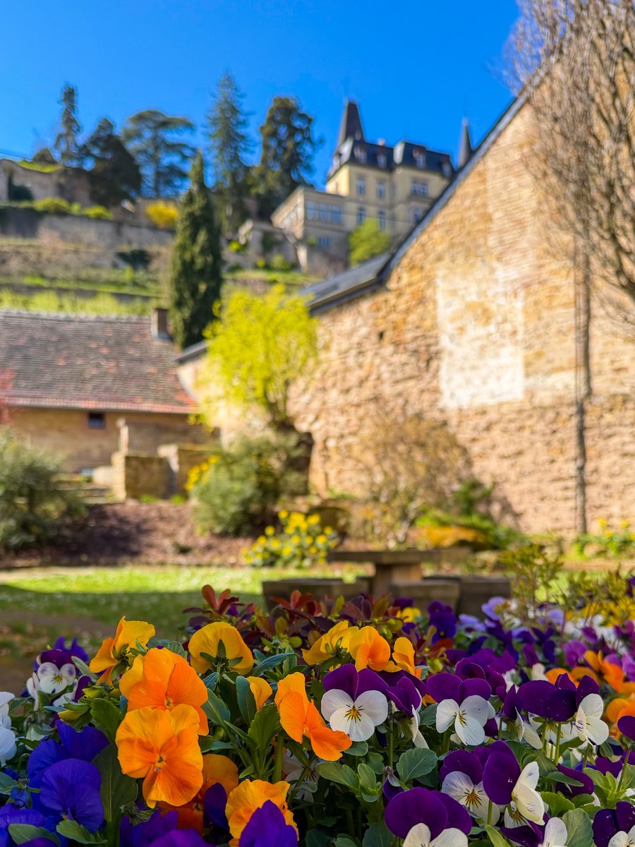 ドイツ発🇩🇪街歩きガイドKeiko tweet media