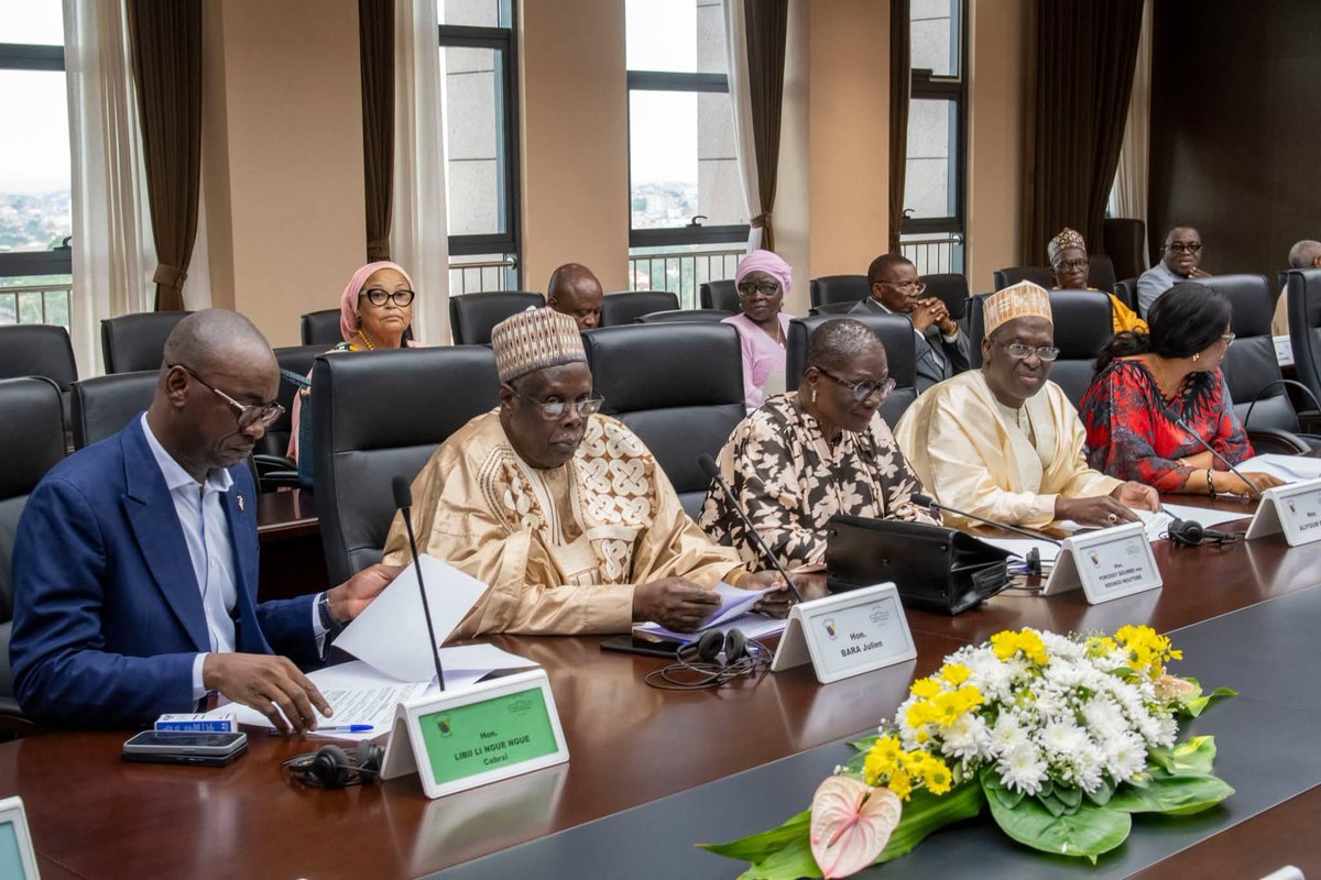 The Cameroonian 🇨🇲 tweet media