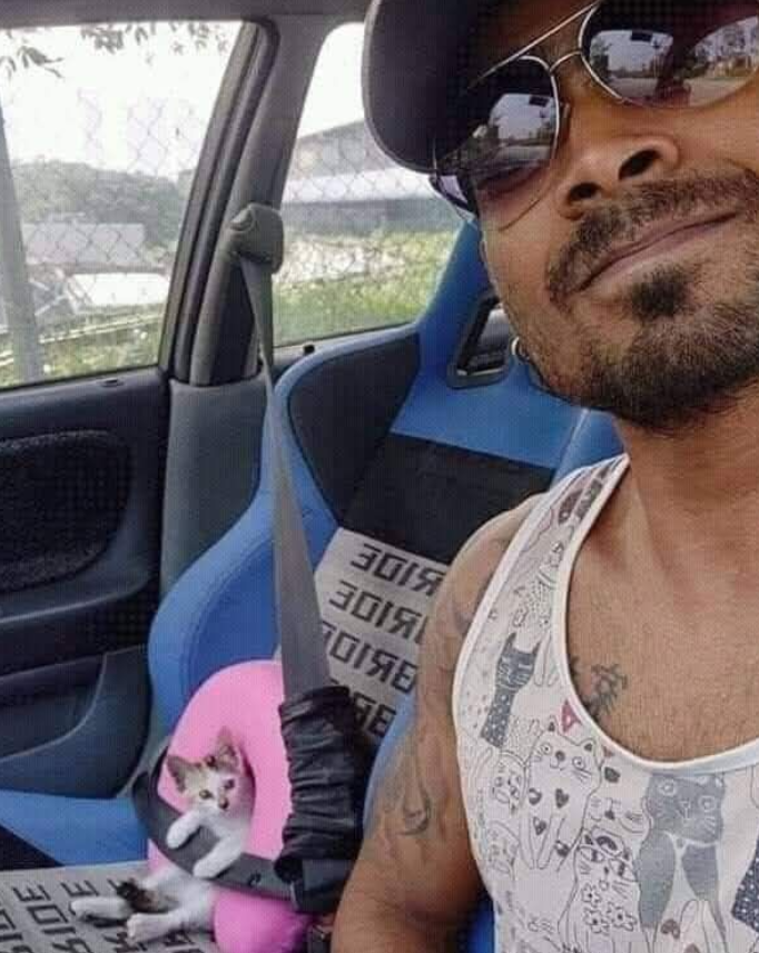 Best in Dogs tweet media