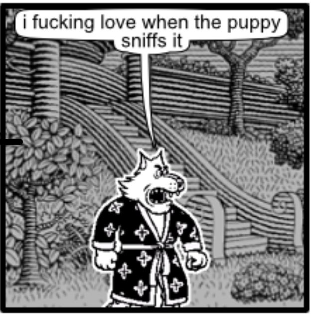 THE BAYOU BORICUA 🐊🇵🇷 tweet media