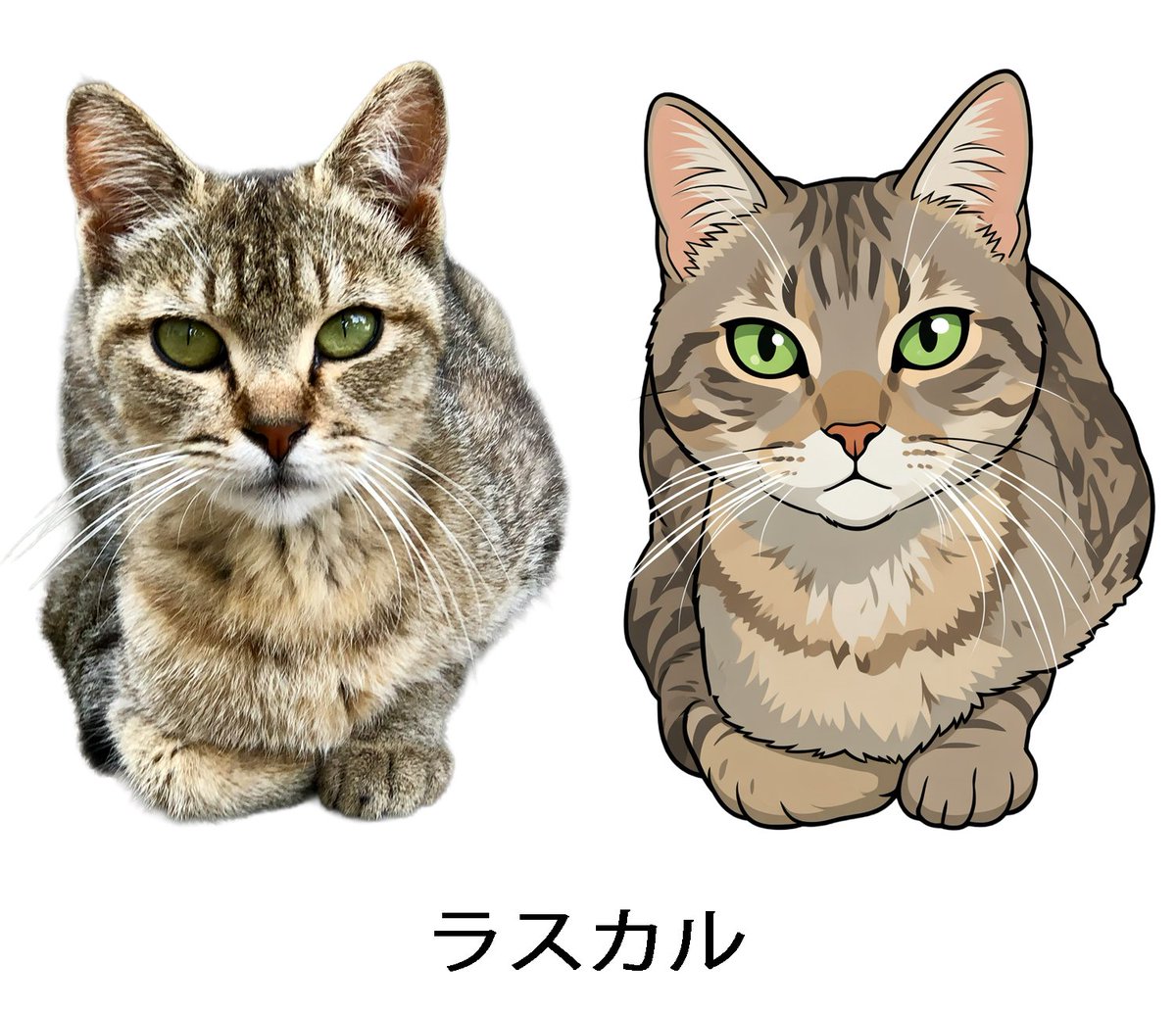 にゃぱねっと♂ tweet media