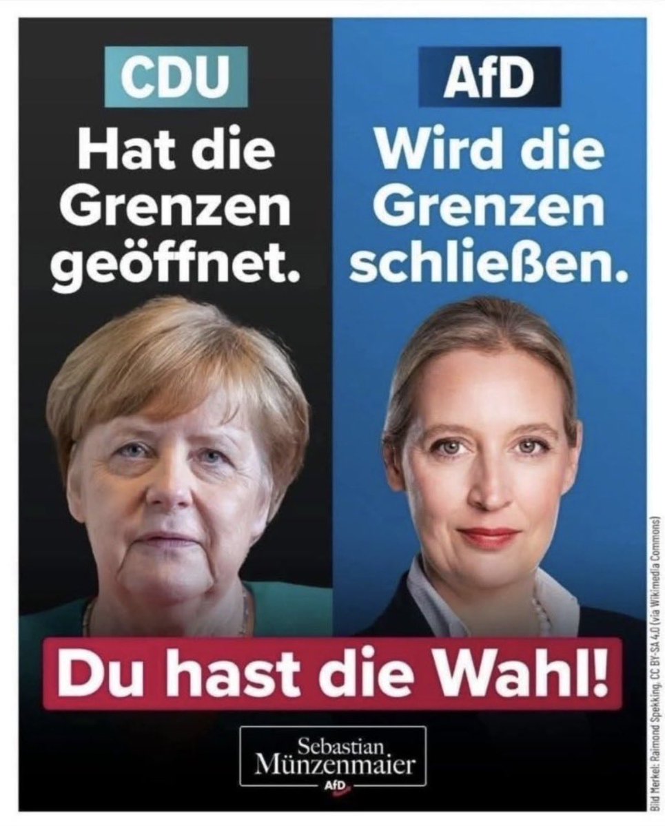 Berenice tweet media