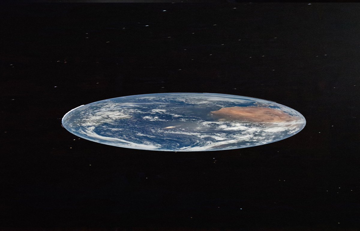 MajesticBison🕹 tweet media