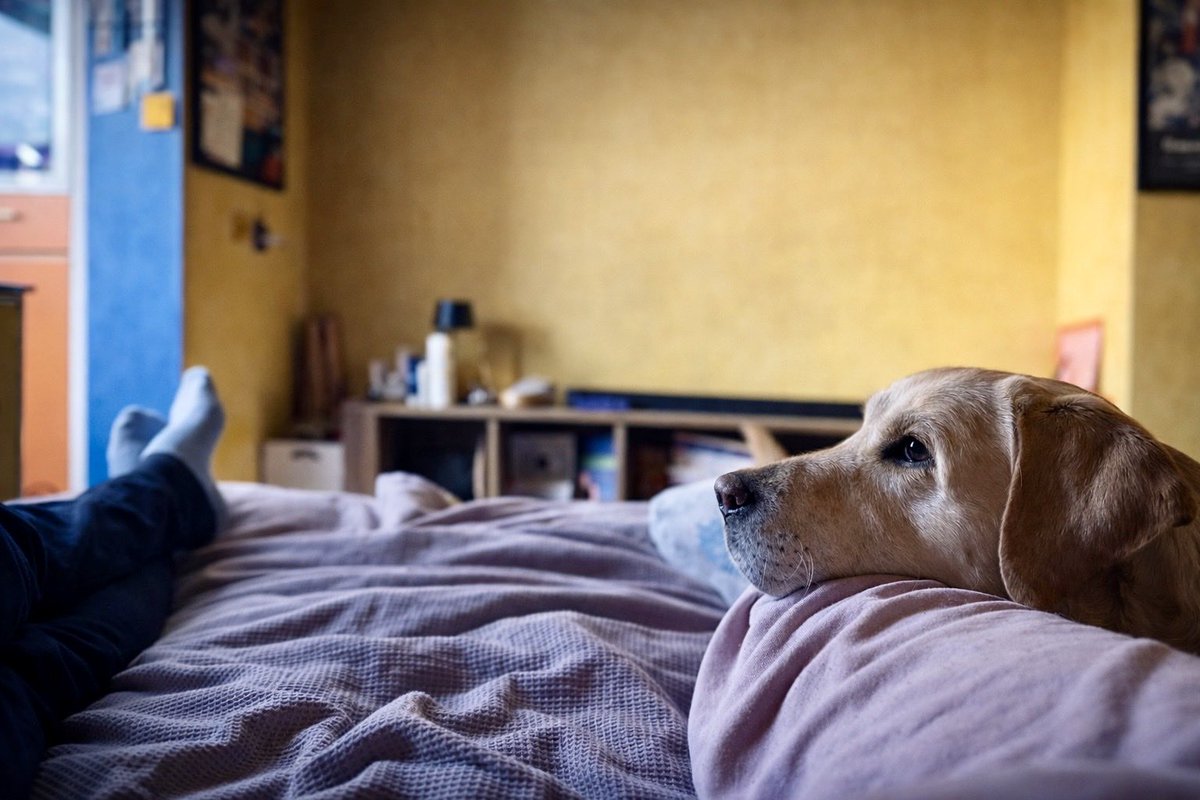 Шопкиня tweet media