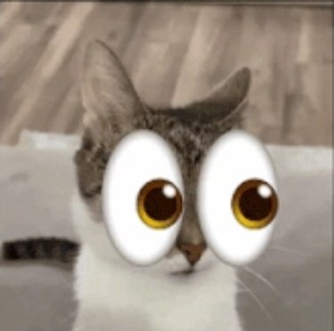 oliveira' tweet media