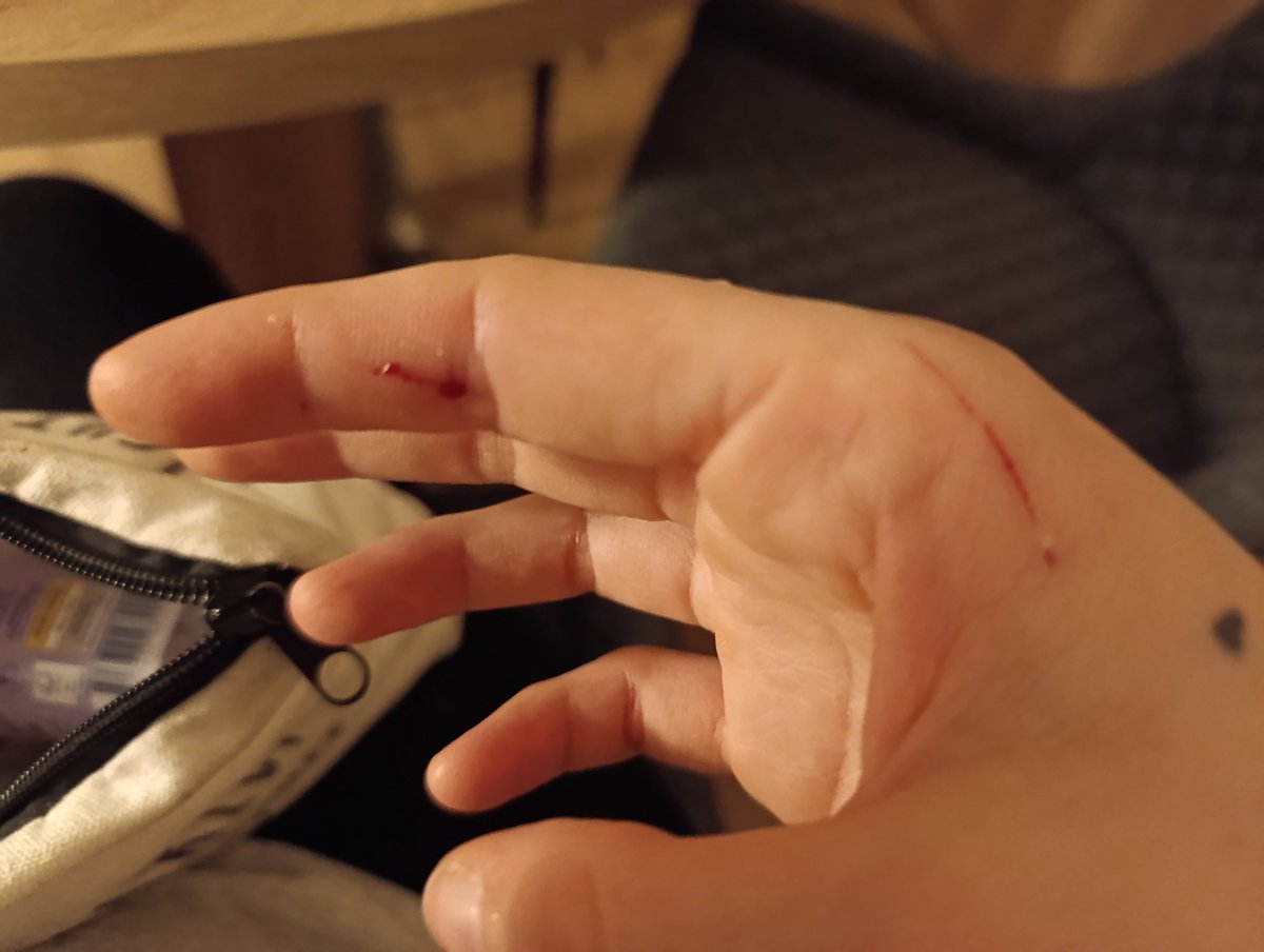 Durchgeficktes Eichhörnchen 🐿️🏳️‍🌈 tweet media